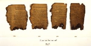 קטע ממגילת תהלים, המאה ה- 1 לספירה
© באדיבות רשות העתיקות
